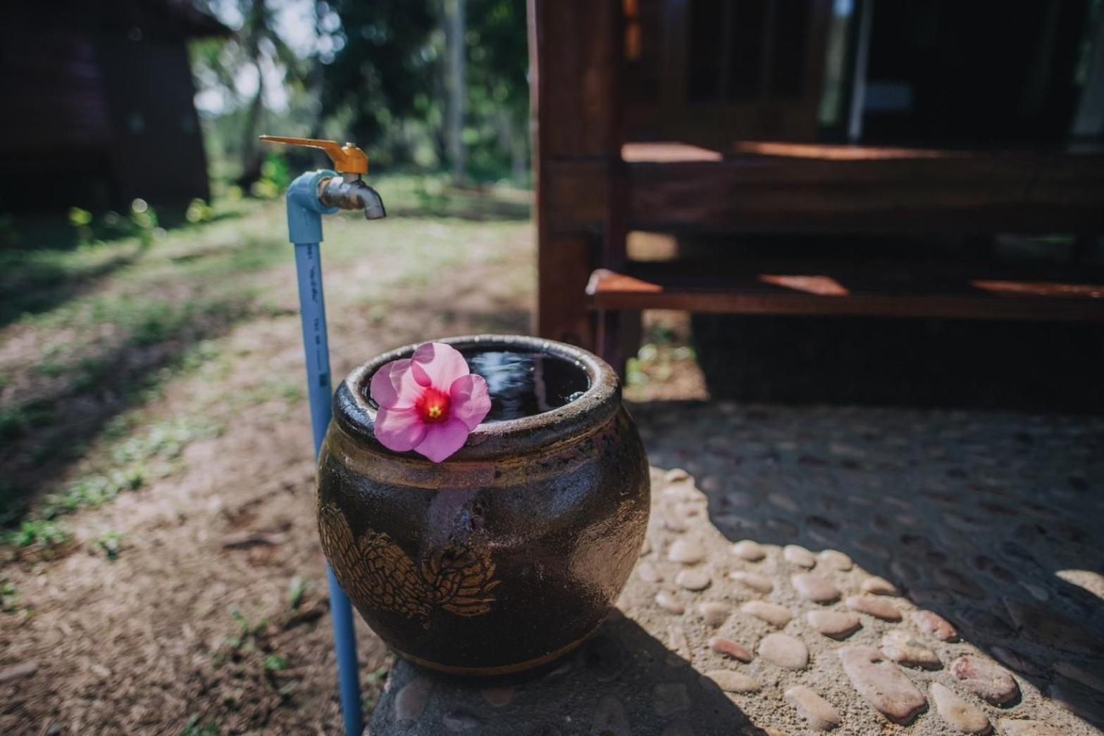 Coco Canopy Boutique Resort ジュム島 エクステリア 写真