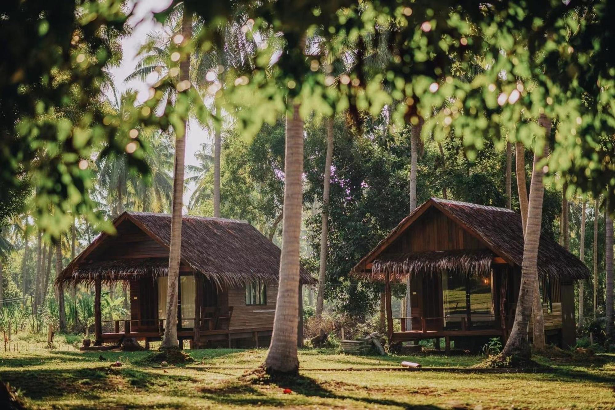 Coco Canopy Boutique Resort ジュム島 エクステリア 写真